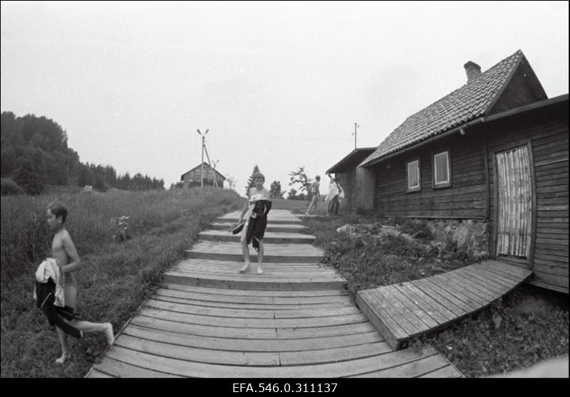 Lõuna-Eesti