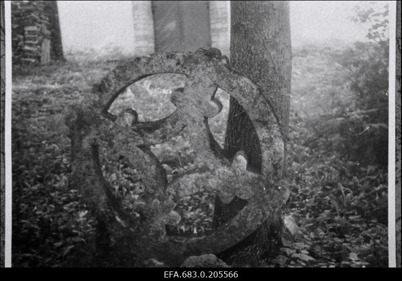Rõngasrist Viru-Nigula kirikuaias.