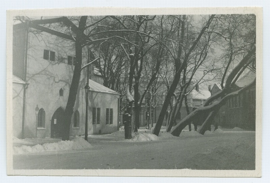 Tallinn, Toomkiriku lõunapoolne portaal.