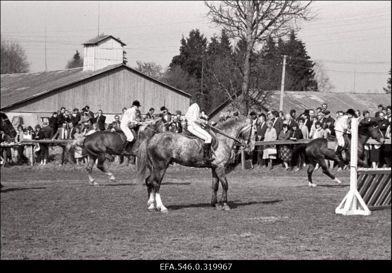 "Rahva Hääle" kolhoos, Hobusekasvatajate päev