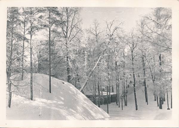 Tartu linnavaade. Talvine Toomemägi. 20. sajandi algus.