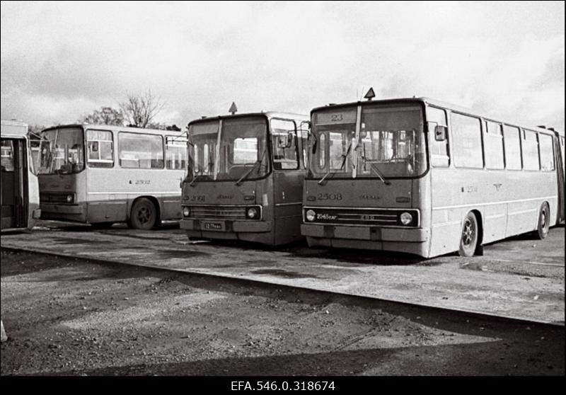 Autobussikoondis.