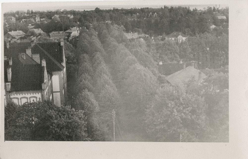 Foto. Vaade Võidu tänavale.