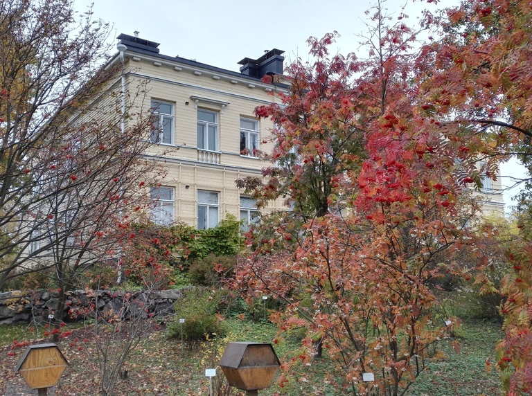 Kaisaniemi, Yliopiston kasvitieteellinen puutarha. rephoto
