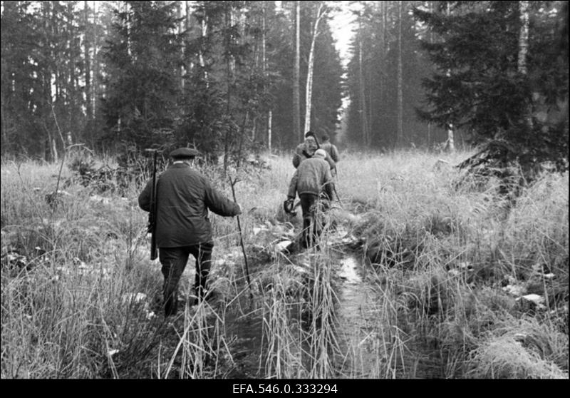 Karl Pärn, Kullamaa metsaülem ja jahinduse arendaja.