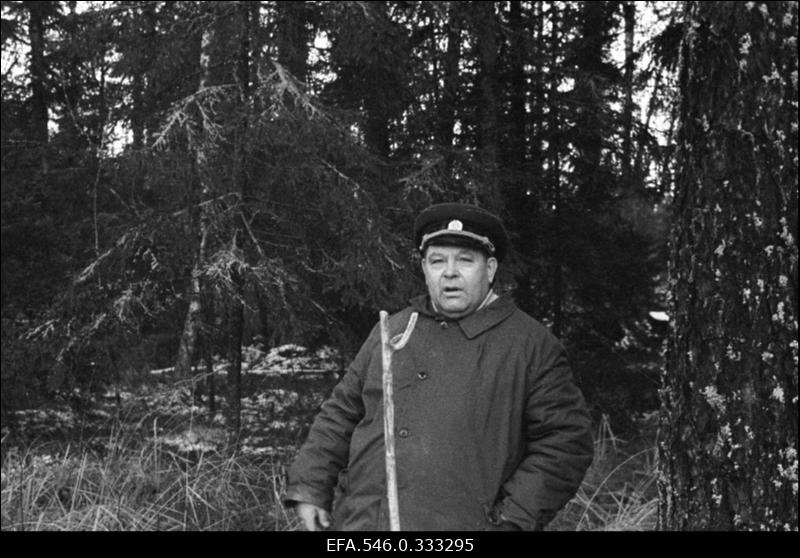 Karl Pärn, Kullamaa metsaülem ja jahinduse arendaja.