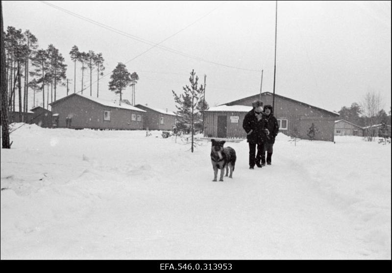 Komsomoli löökehitusel Siberis Pimi asulas töötavad mehed Eestist, et rajada autoteid naftaväljade teenindamiseks.