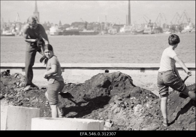 Tallinna vaated, "Tallinn korda"
