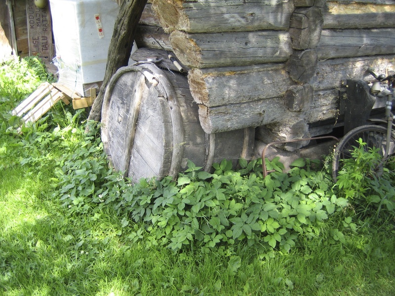 Kõrvalhoone nurk Liise talus Ruhnul