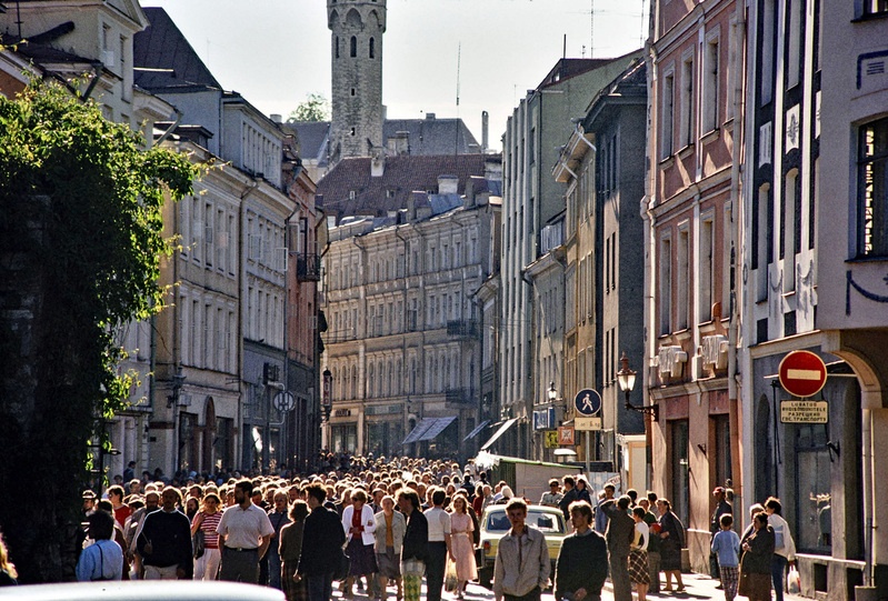 Tallinn, Viru tänav