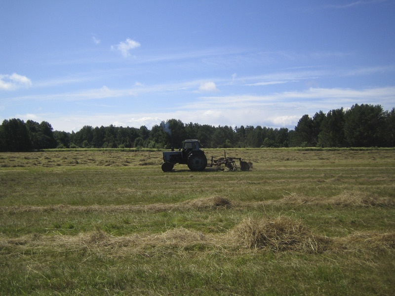 Heinamaa traktoriga Ruhnu põhjapoolses otsas