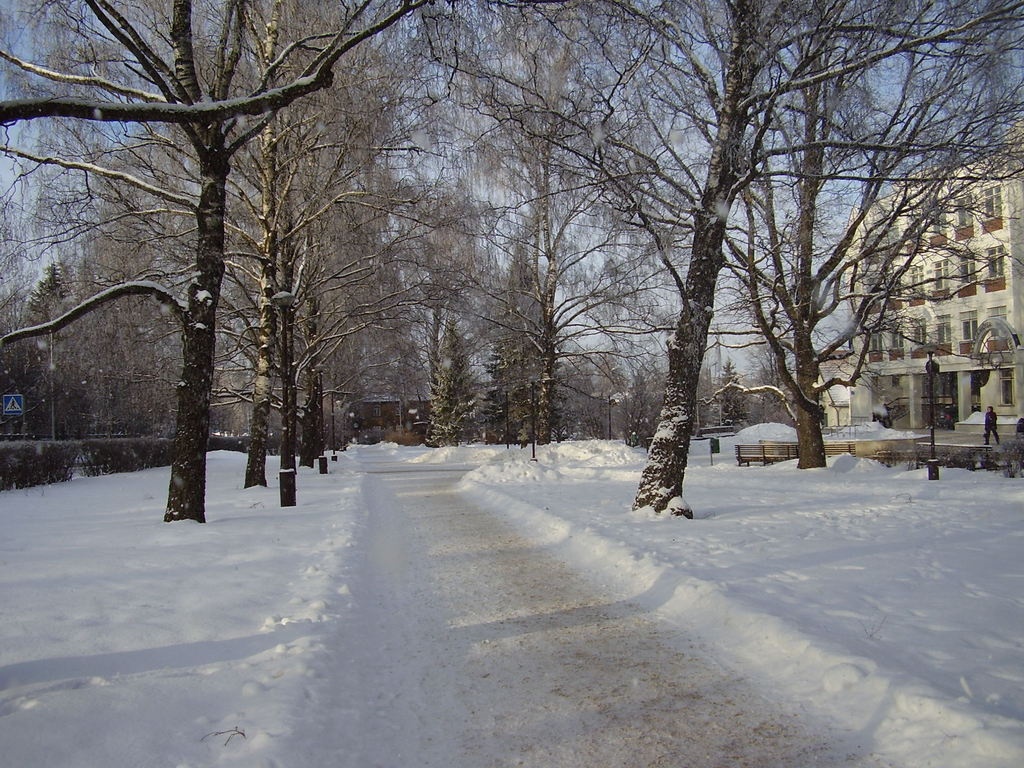 Puusepa t, puiestee Maarjamõisa polikliiniku ees. Tartu, 2006.