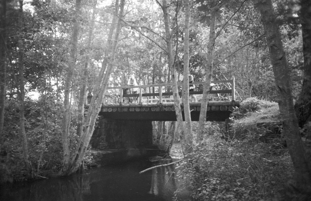 Sild Loobu jõel Arbaveres