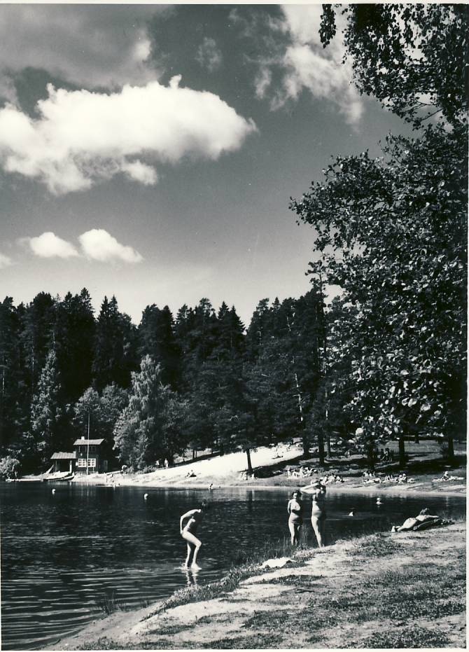 Viitna järv
