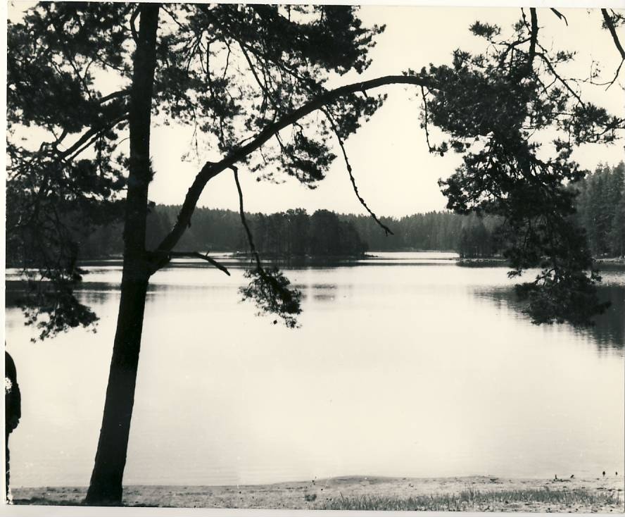 Viitna Suurjärv