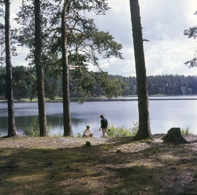 Viitna motell.  similar photo