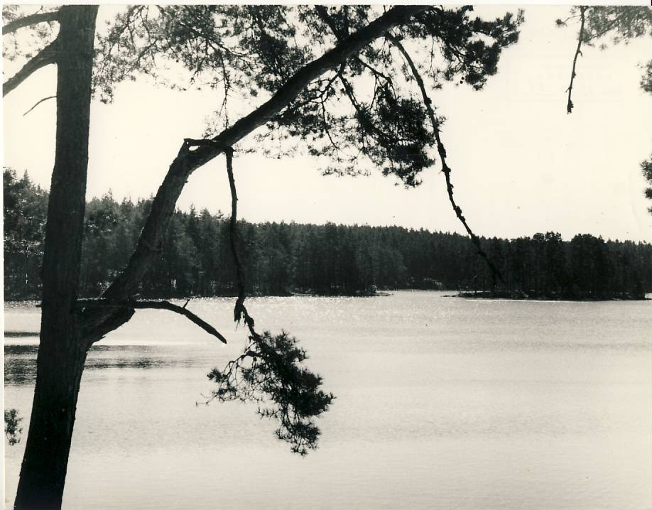 Viitna Suurjärv