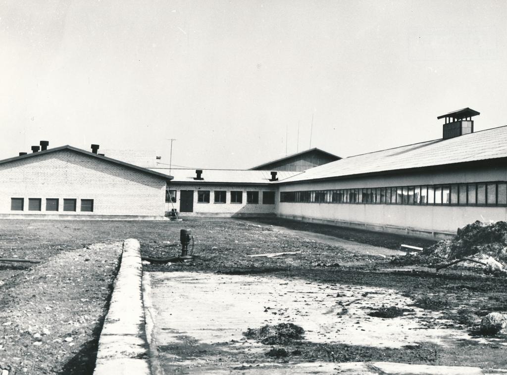 Viitna
