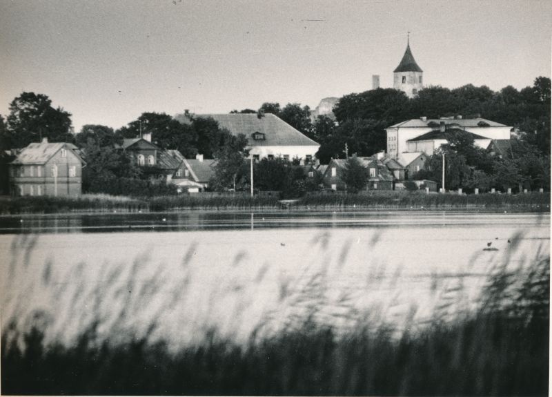Foto. Vaade linnale Väikese viigi äärest. Foto: I. Möldri, 1974. Mustvalge.