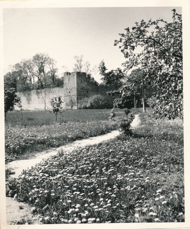 Foto. Vaade Haapsalu linnusele Krahviaiast, Foto: I. Möldri, 1974