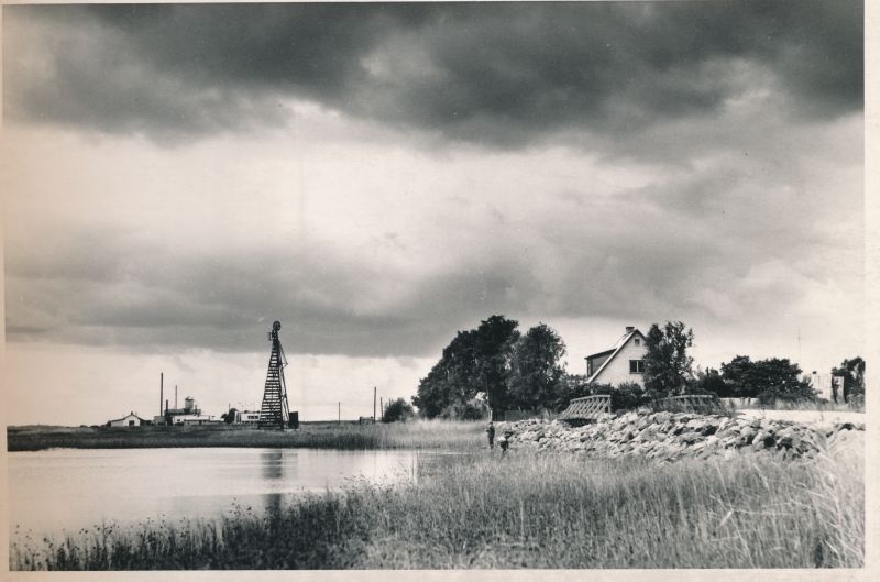 Foto. Vaade Vasikaholmile. Foto: I. Möldri, 1974. Mustvalge.