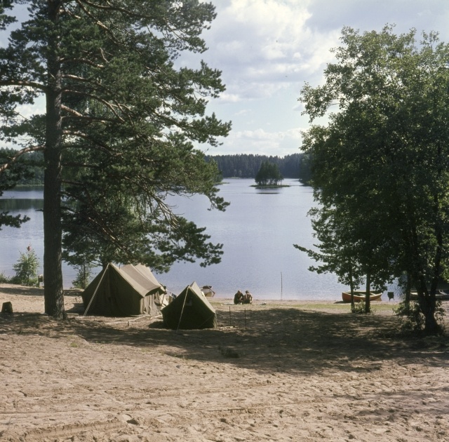 Viitna järv.