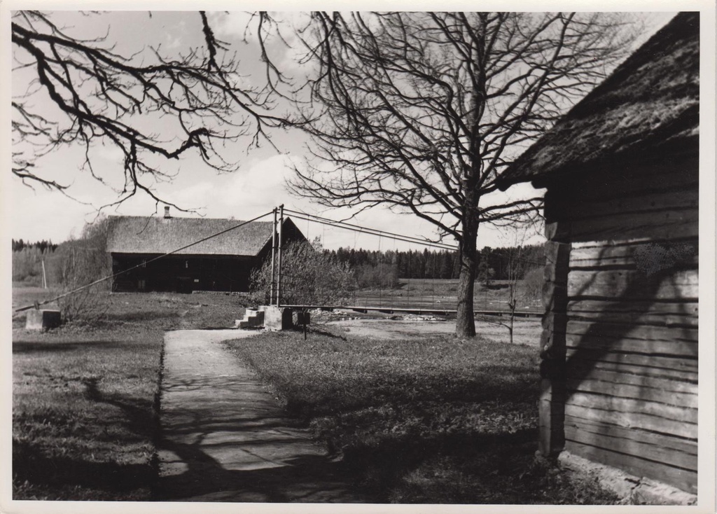 Kurgja-Linnutaja. Vaade kagust Kurgja-Linnutaja veskile.