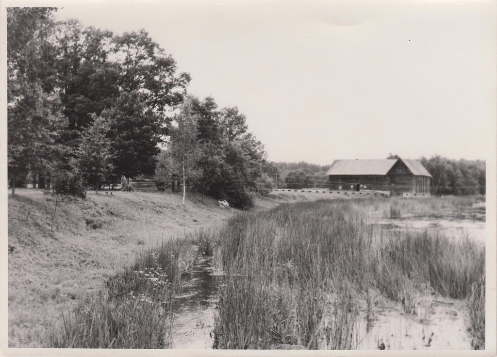 Veski Kurgja-Linnutajal. Vaade idast.