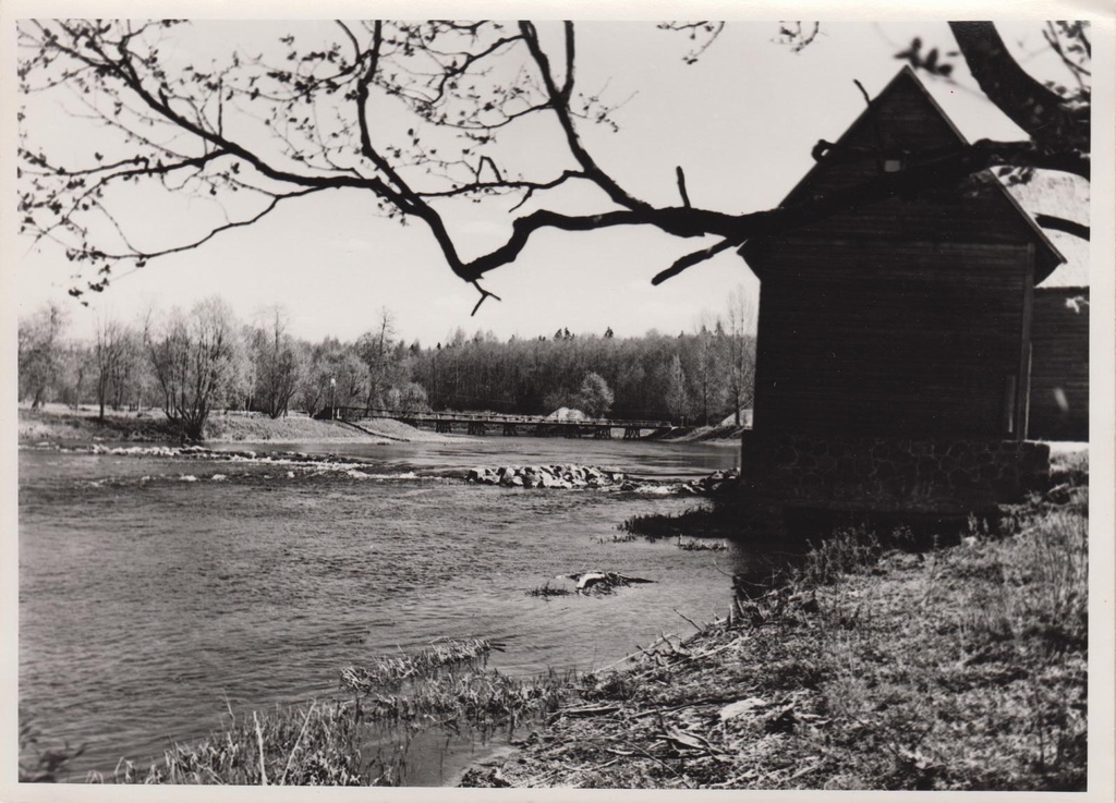 Kurgja-Linnutaja. Veski jõe kaldal. Vaade loodest.