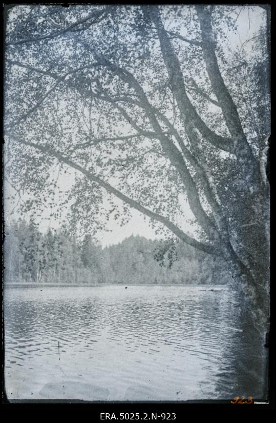 Aegviidu järv