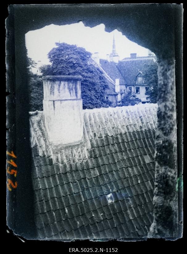 Tallinn. Katus