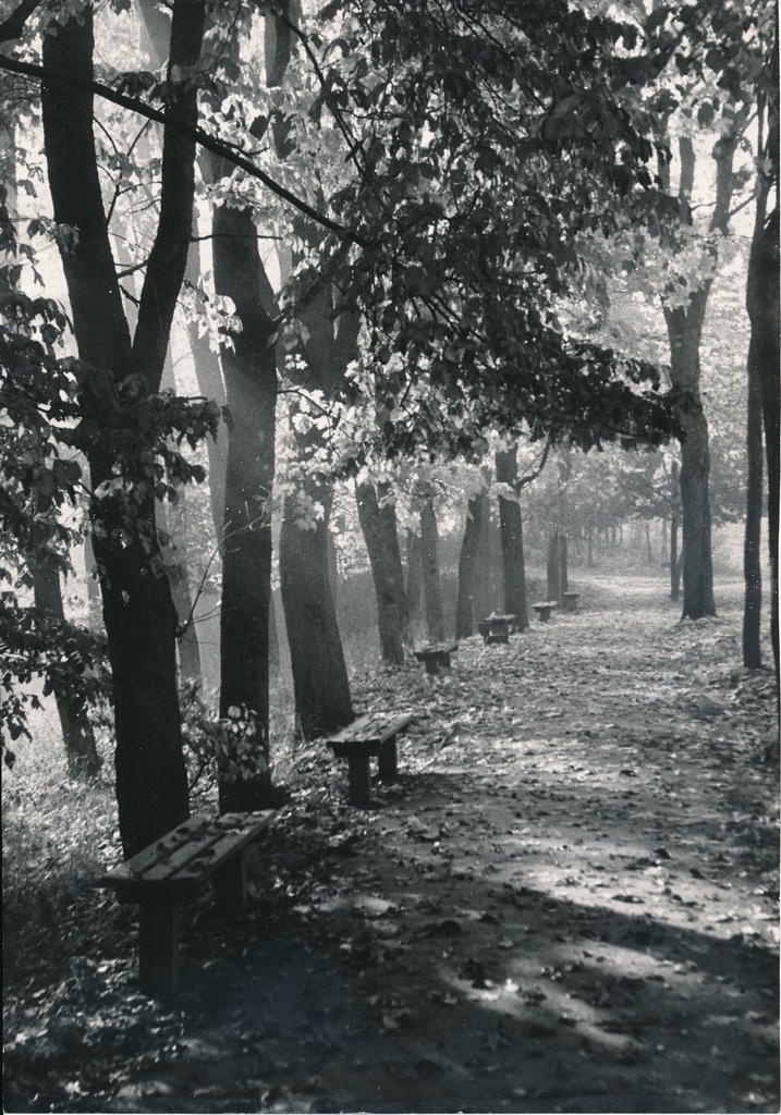 foto Viljandi, Tasuja pst, 1965 F A.Kiisla