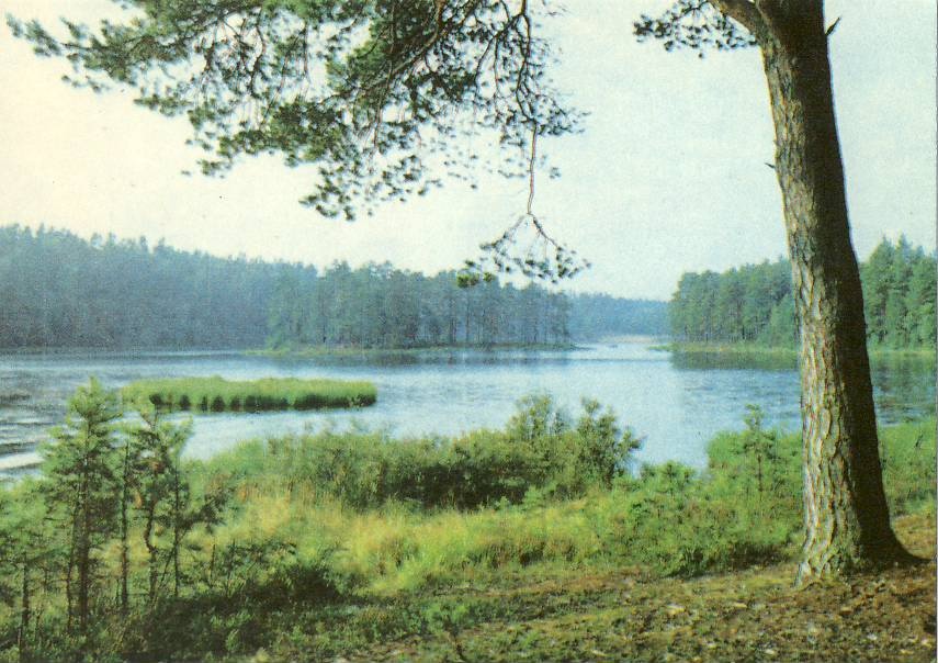Viitna järv