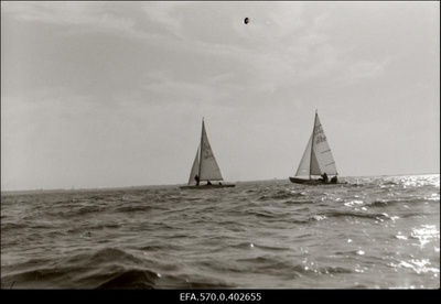 Jahid Tallinna lahel.  duplicate photo