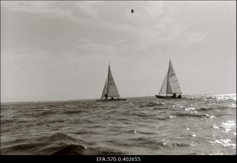 Jahid Tallinna lahel.