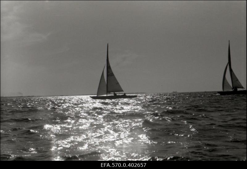 Jahid Tallinna lahel.