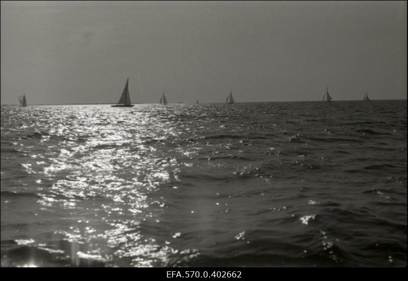 Jahid Tallinna lahel.