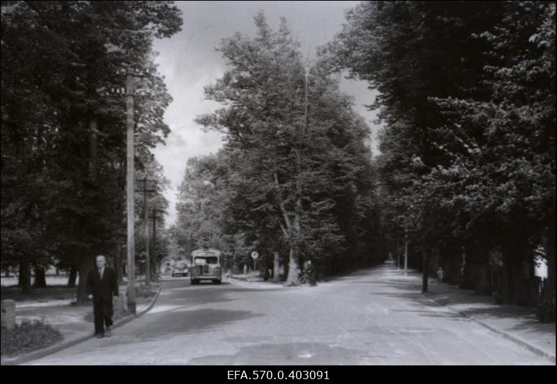 Tähtvere park Tartus.