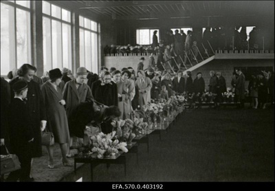 Kevadine lillenäitus Tallinna lillepaviljonis.  similar photo