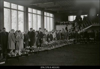 Kevadine lillenäitus Tallinna lillepaviljonis.  similar photo