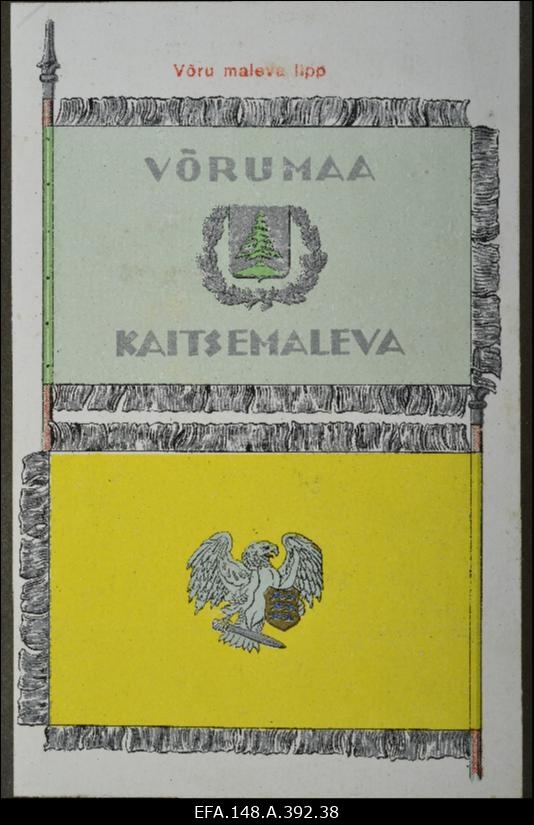 Kaitseliidu Petseri Malev. Õppused, manöövrid, ülevaatused jne.