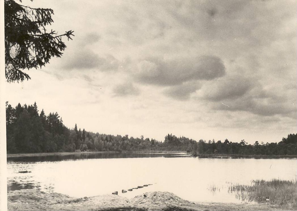 Vatku Kõverjärv