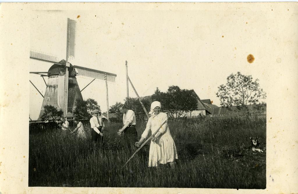 Heinaniitjad, taamal tuulik ja taluhooned, Saaremaa
