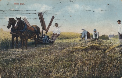 Estonian pitches : on the field = Estnische Typen = Estnische Typen  duplicate photo