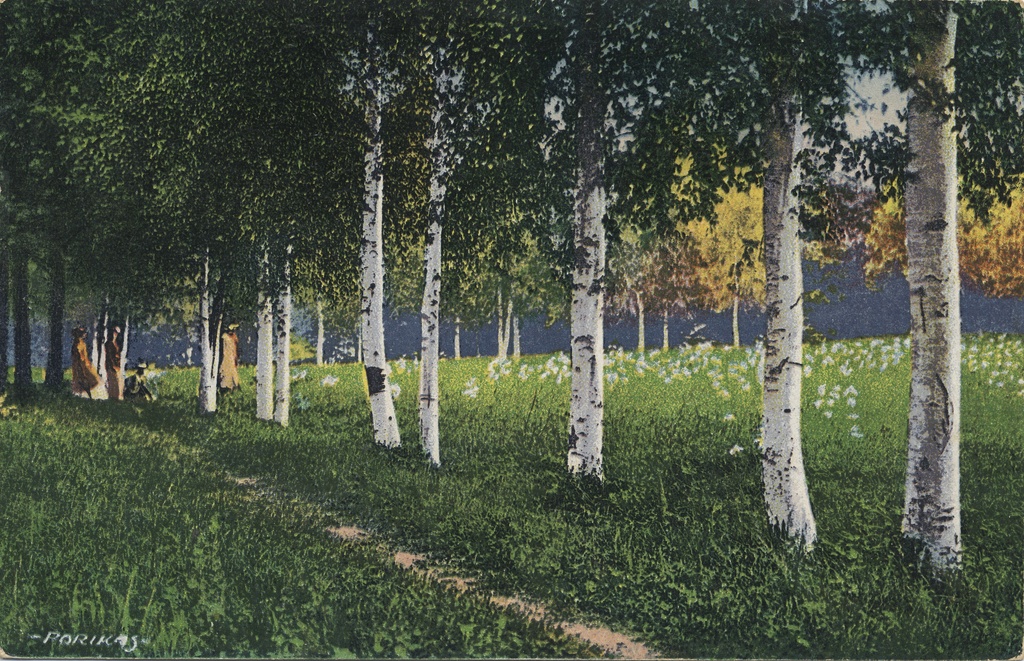 Estonian landscape : [Haabersti] = Motiv aus Eesti