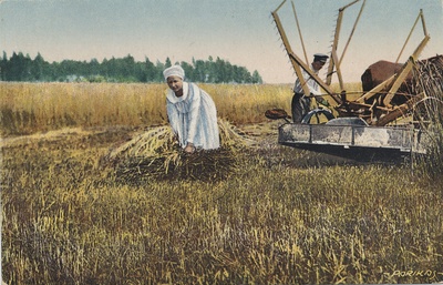 Estonian village life : Motiv aus Eesti  duplicate photo