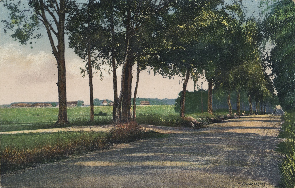Estonian Landscape : Motiv aus Eesti