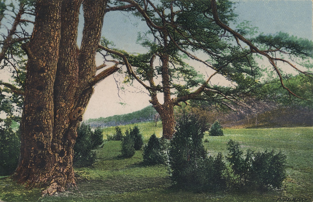 Estonian Landscape : Motiv aus Eesti