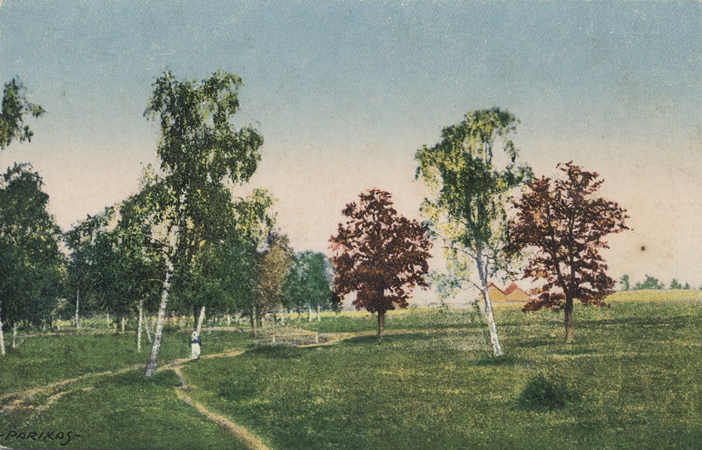 Estonian Landscape : Motiv aus Eesti