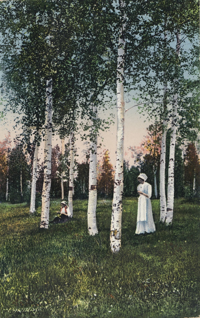 Estonian village life : in Keila County = Motiv aus Eesti